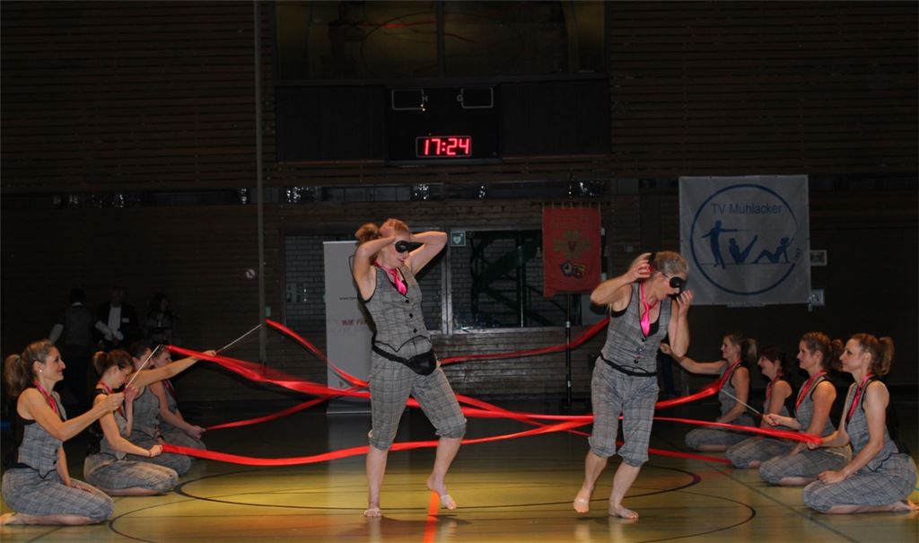 Das Thema „Diamantenraub“ wurde von den Gymnastinnen des TSV Löchgau gekonnt umgesetzt – die Zuschauer waren begeistert. Fotos: Gießler