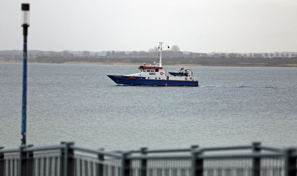 Das Tier war zwischenzeitlich abgetaucht, wurde aber am Dienstagvormittag erneut gesichtet. (Archivbild)