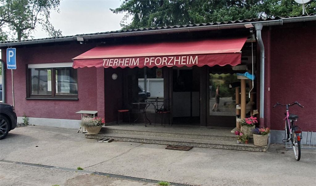 Das Tierheim in Pforzheim steht vor großen Herausforderungen. Fotos: Schröder