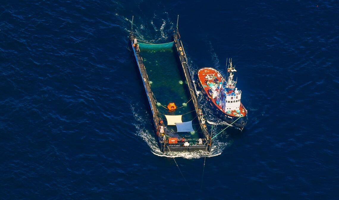 Das Transportschiff mit dem Wal ist seit mehreren Tagen unterwegs.