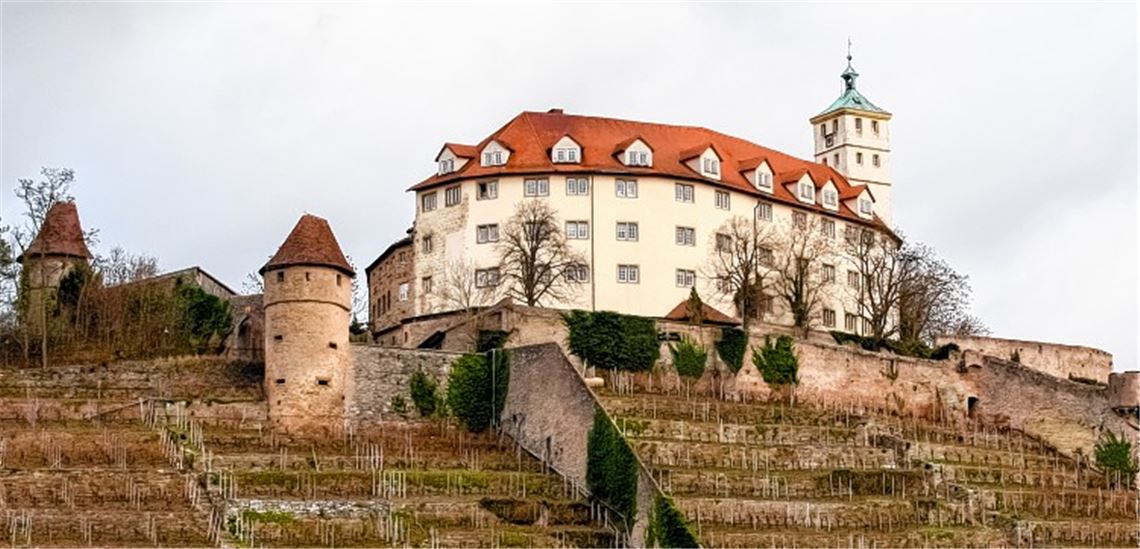 Das Wahrzeichen Vaihingens steht schon bald ganz leer. Bei der Suche nach einem Mieter lässt sich das Land Zeit und will mit dem „sensiblen“ Objekt nichts überstürzen. 