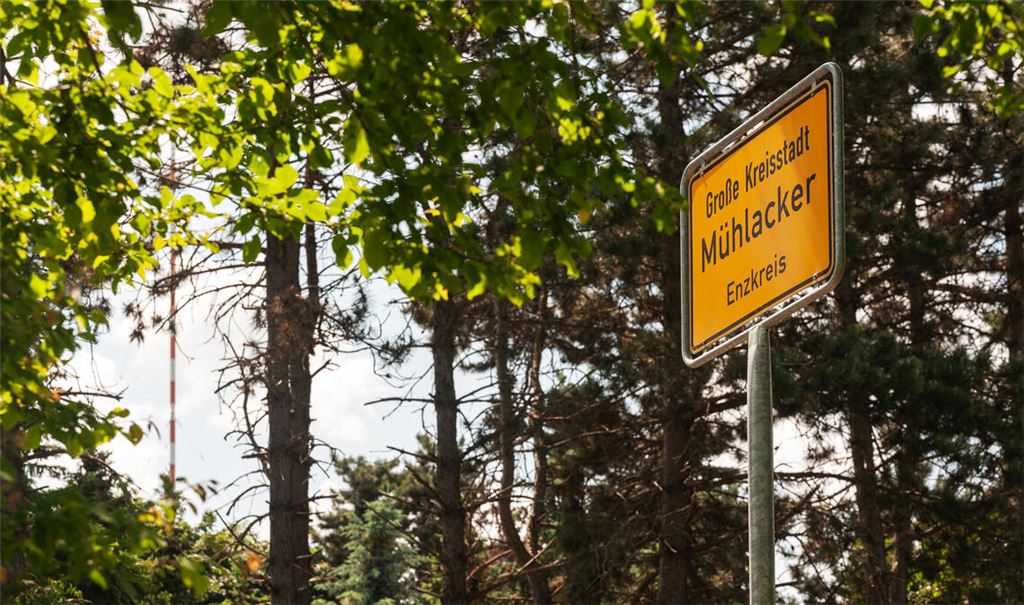 Das Wahrzeichen der „Senderstadt“ – links im Hintergrund – soll sich demnächst auch auf den Mühlacker Ortsschildern wiederfinden. Foto: Fotomoment