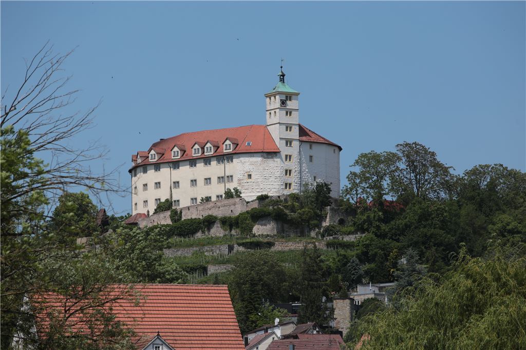 910_0008_191887_md_Schloss_Kaltenstein_Vaihingen_2019_a