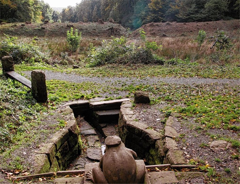 Das Wasser aus dem Studentenbrünnele mit dem Frosch sollte schon in diesem Jahr den Kapuzinerteich füllen. Doch weil der Damm im Hintergrund stärker durchwurzelt ist als gedacht, müssen neue Geldmittel für die Verwirklichung des Projekts aufgetrieben werden. 
