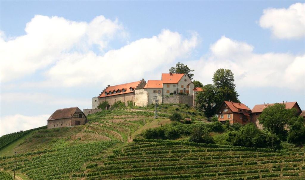 Das Weingut Schloss Staufenberg bei Offenburg.