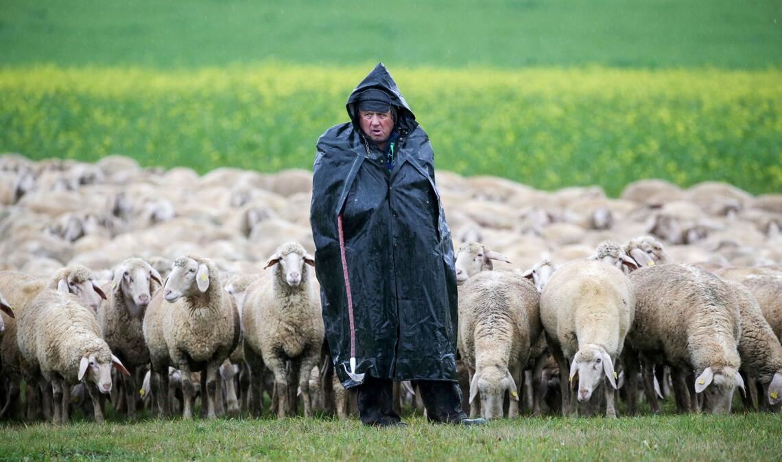 Das Wetter im Südwesten bleibt am Wochenende unbeständig.