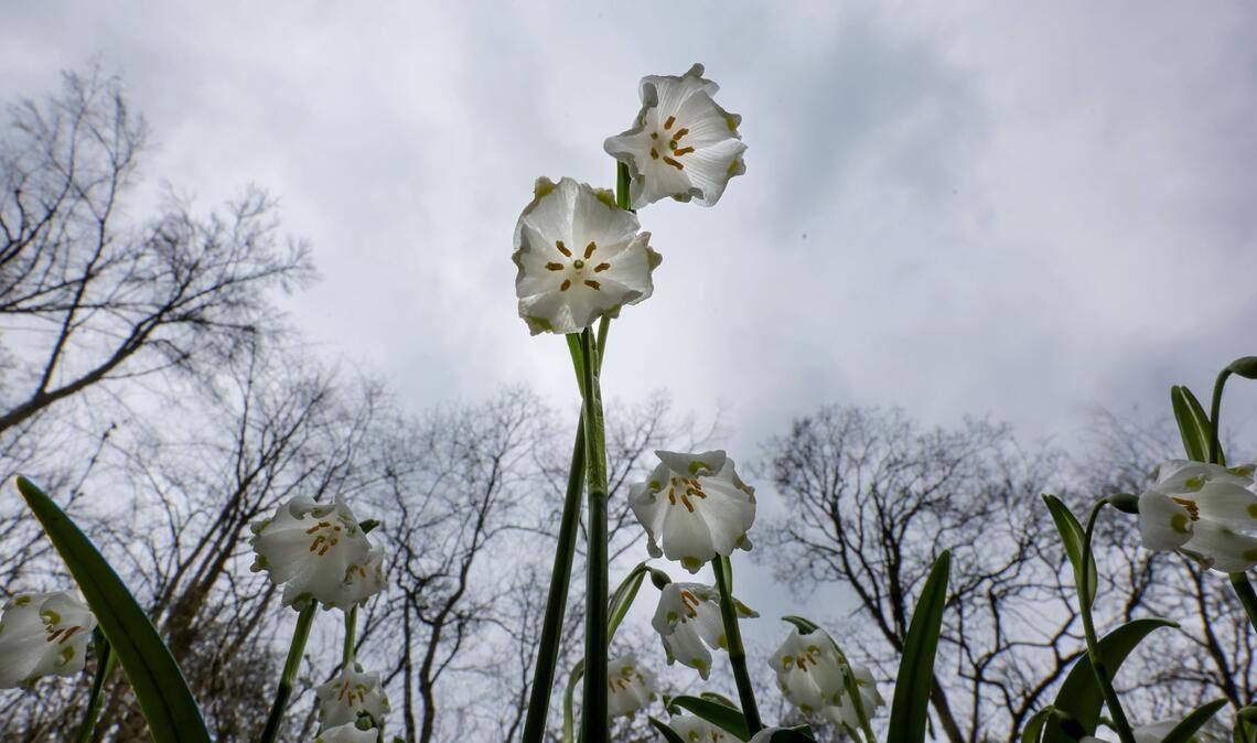 Das Wetter in Deutschland zeigt sich in den kommenden Tagen von seiner ungemütlichen Seite. (Symbolbild)