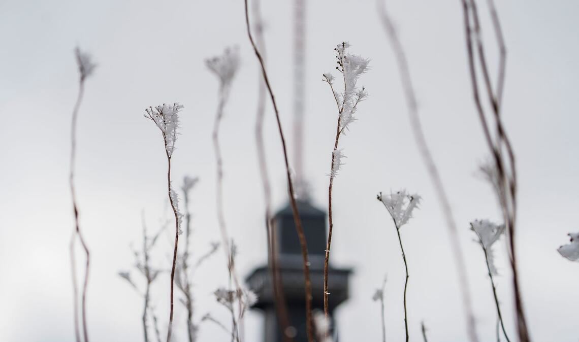 Das Wetter zum Wochenende wird wechselhaft.