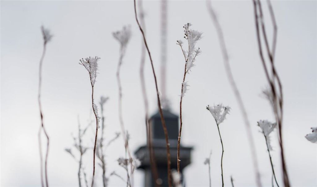 Das Wetter zum Wochenende wird wechselhaft.