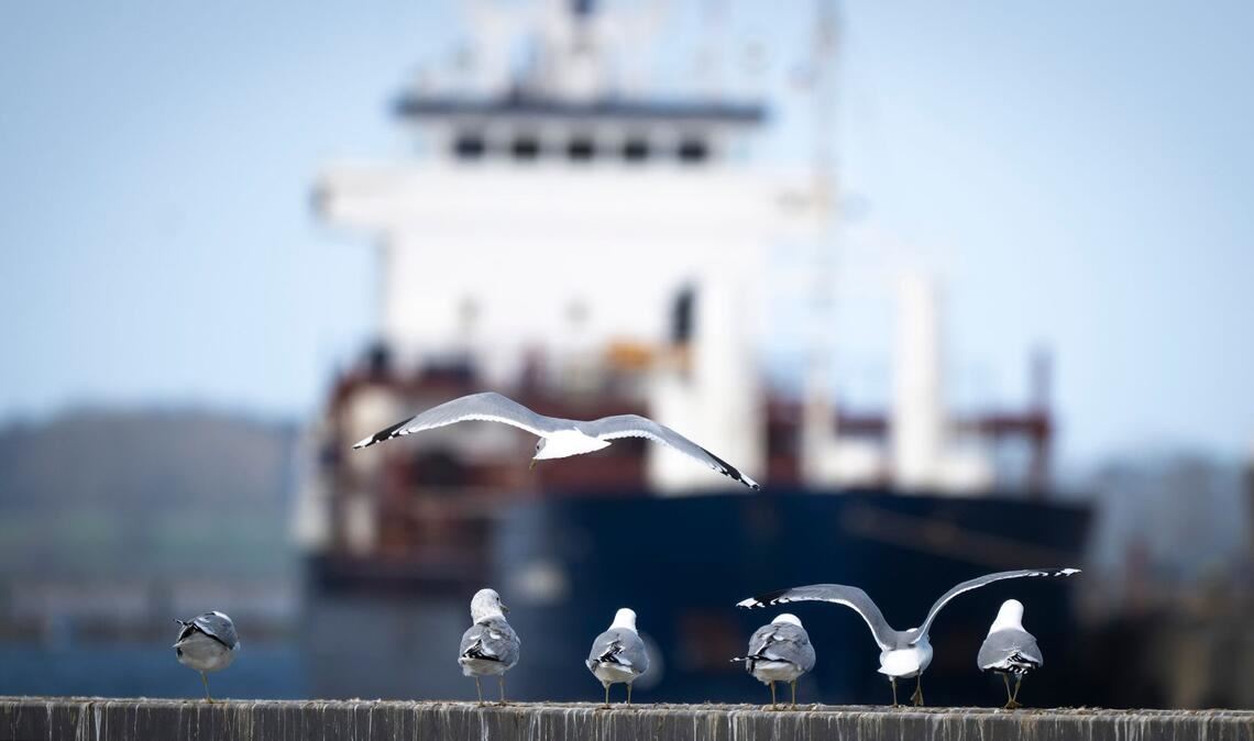 Das Wetter zum Wochenende wird wechselhaft.