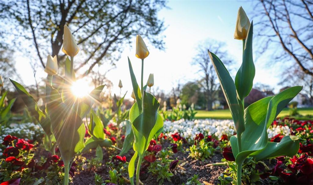 Das Wochenende startet sonnig.