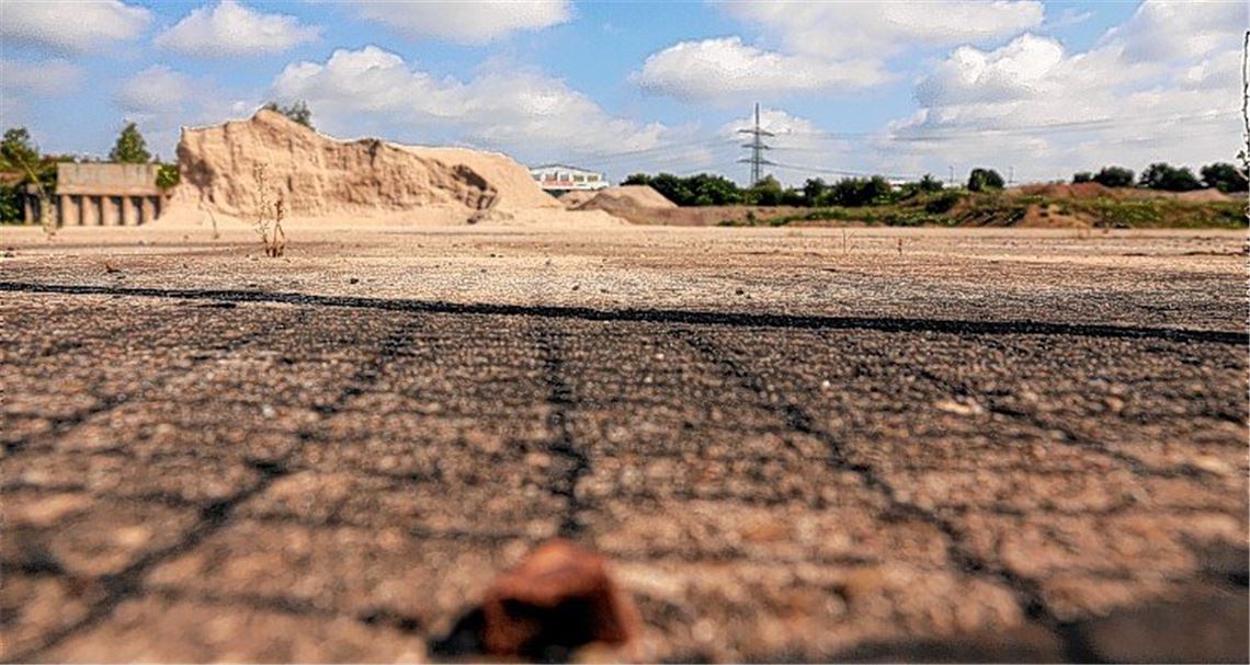 Drei Interessenten stellen sich vor