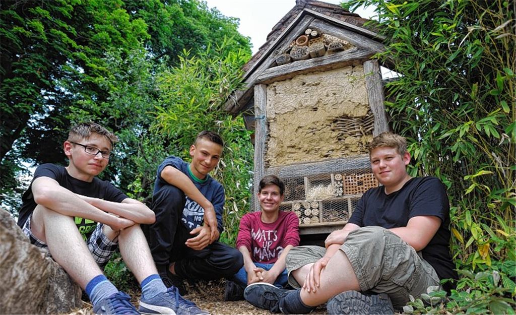 Schüler sanieren Insektenhotel