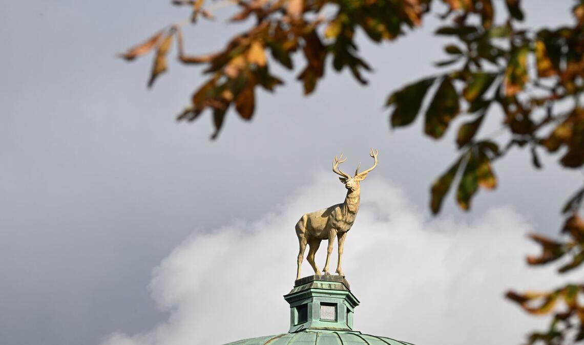 Das goldene Herbstwetter nochmal ausnutzen, bevor es unangenehm wird.
