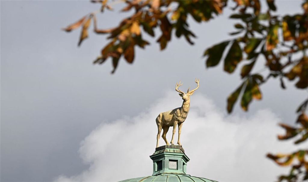 Das goldene Herbstwetter nochmal ausnutzen, bevor es unangenehm wird.