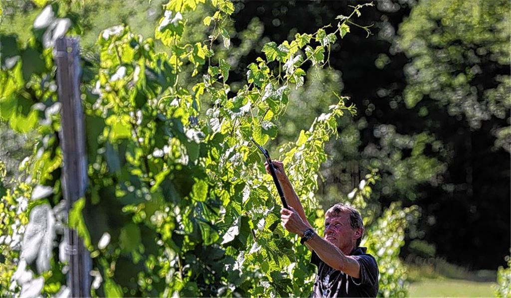 Aufatmen nach dem Frostschock