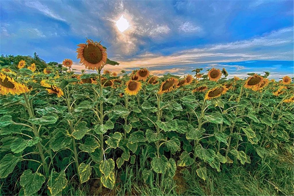 Das ist eine Bildunterschrift