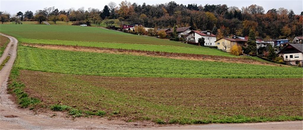 Mühlhausen soll wachsen können