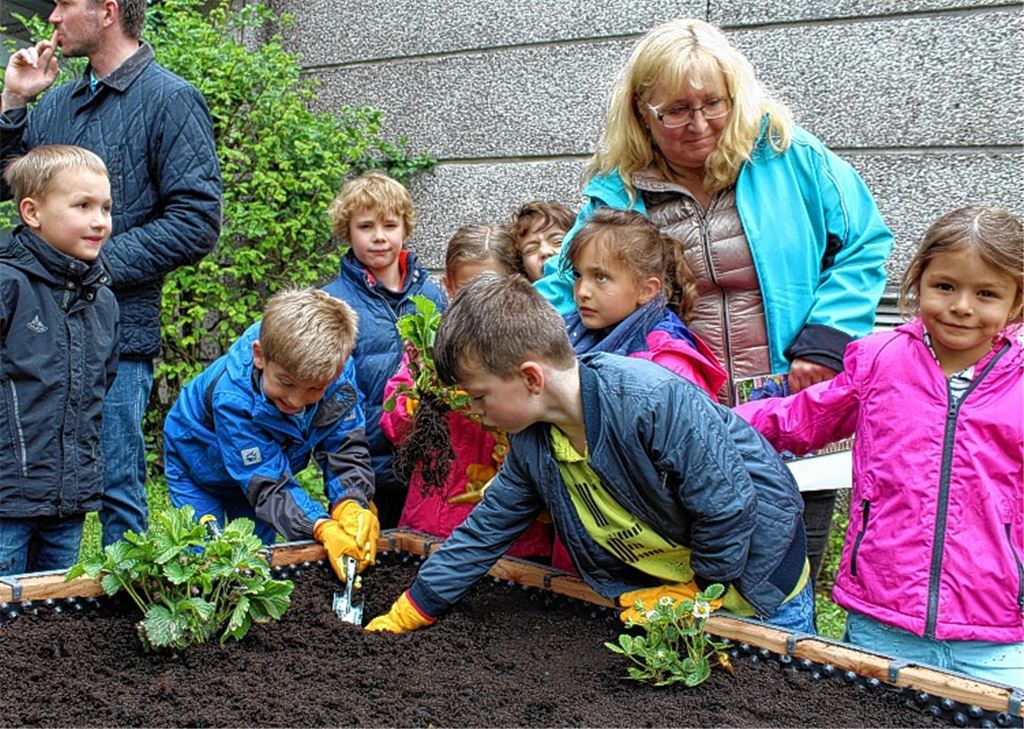 Wiernsheimer Schule freut sich über Hochbeet