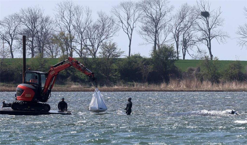 Das neue Konzept der Privatinitiative wird geduldet.