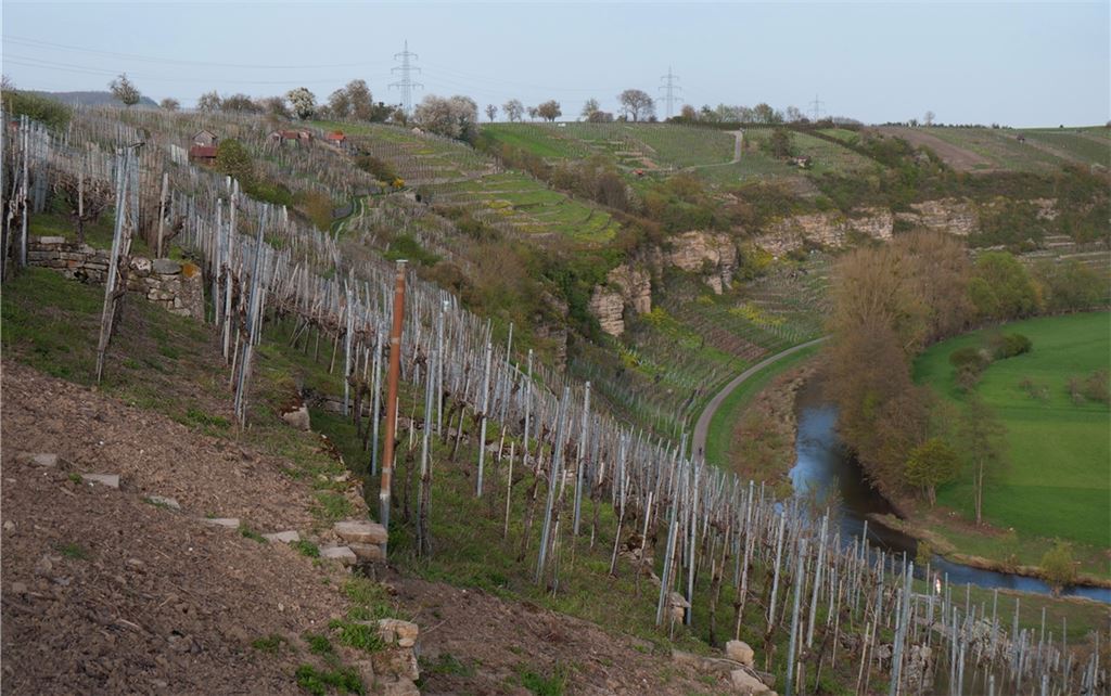 Dass das Land sein Vorkaufsrecht in den Felsengärten von Mühlhausen ausübt, könnte aus Sicht der örtlichen CDU fatale Folgen haben.Foto: Friedrich