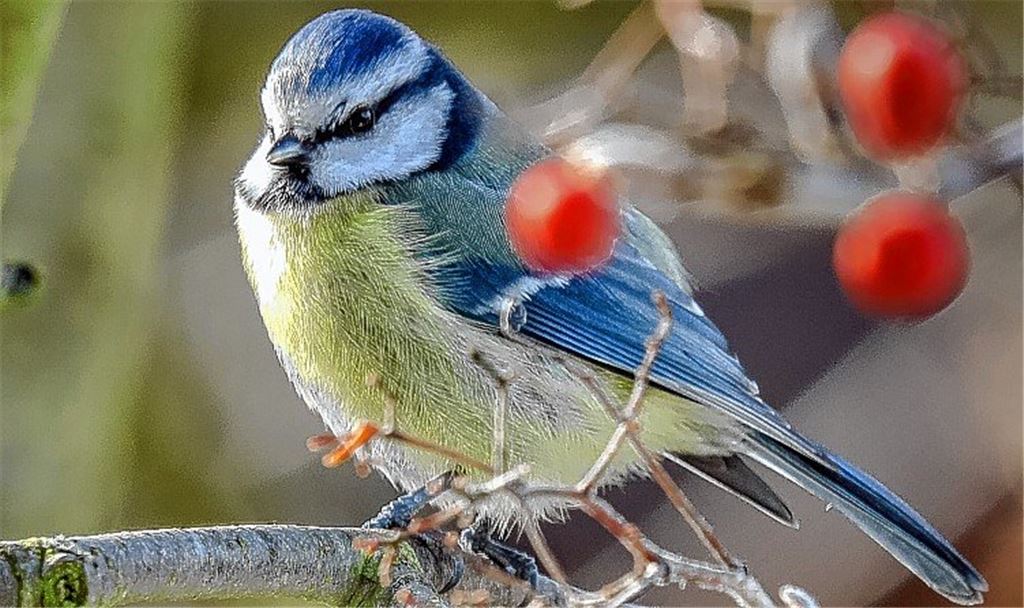 Winterzeit