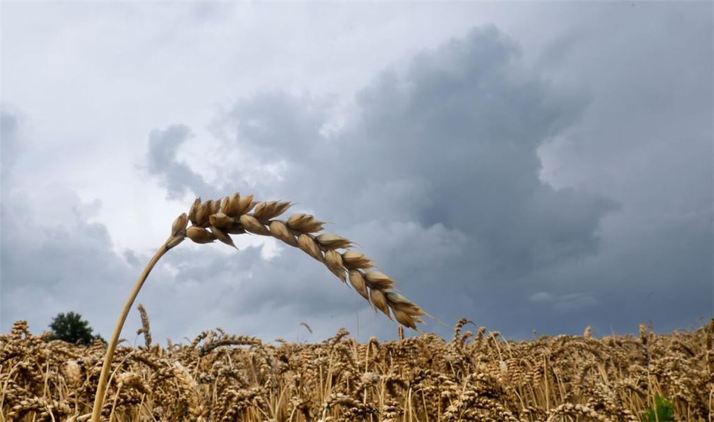 Dem Deutschen Wetterdienst (DWD) zufolge soll es heute insbesondere am Vormittag regnen. (Symbolbild)