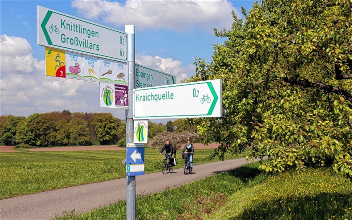 Wissen, wo es langgeht