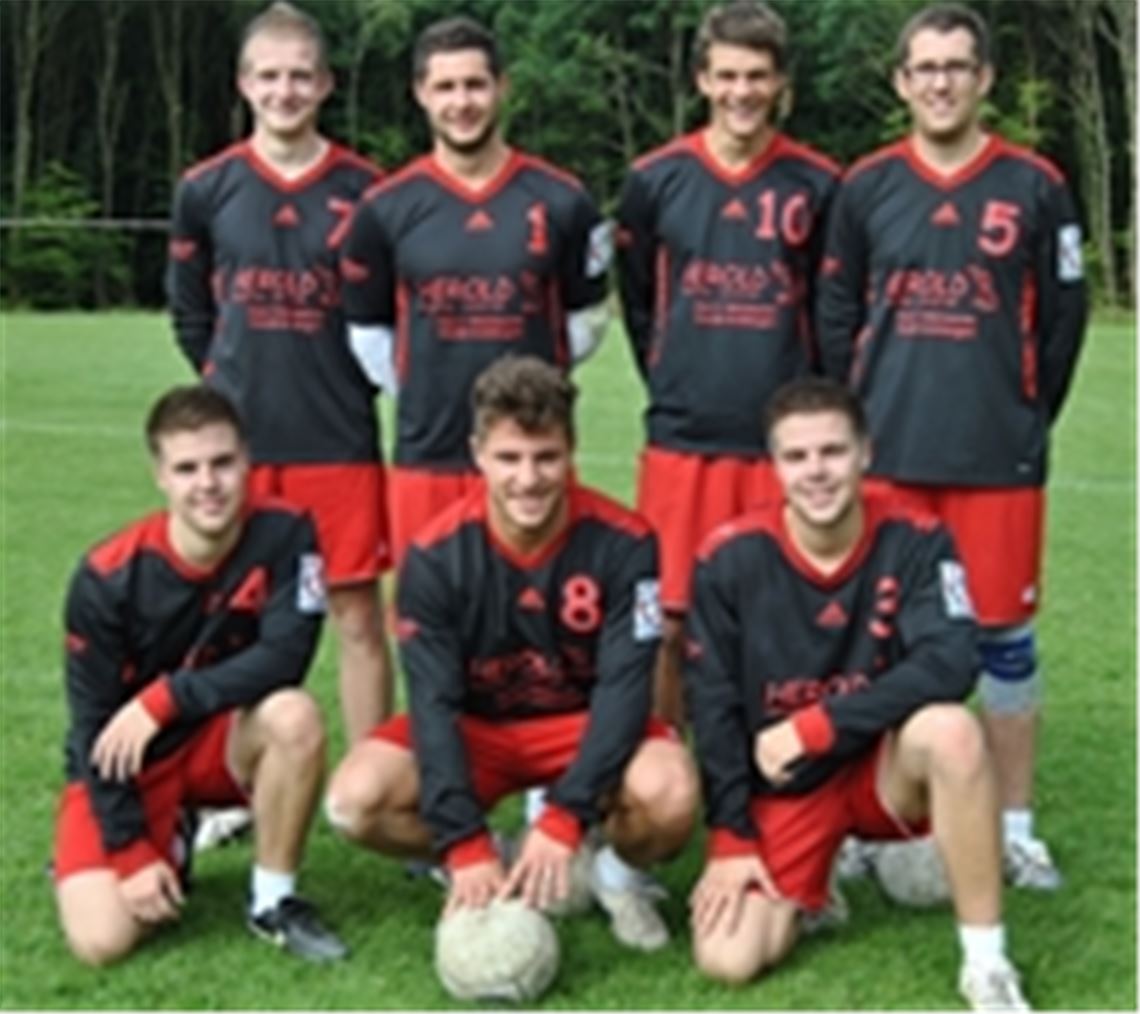 Den Faustballern des TV Hohenklingen (hinten v. li. Daniel Kaiser, Marco Kühner, Bastian Dangel, Boris Goll; vorne v. li. Tobias Gerst, Mario Kühner, Matthias Gerst) gelingt am letzten Spieltag der Schwabenliga noch der Sprung von Rang fünf auf drei.Foto: Haller