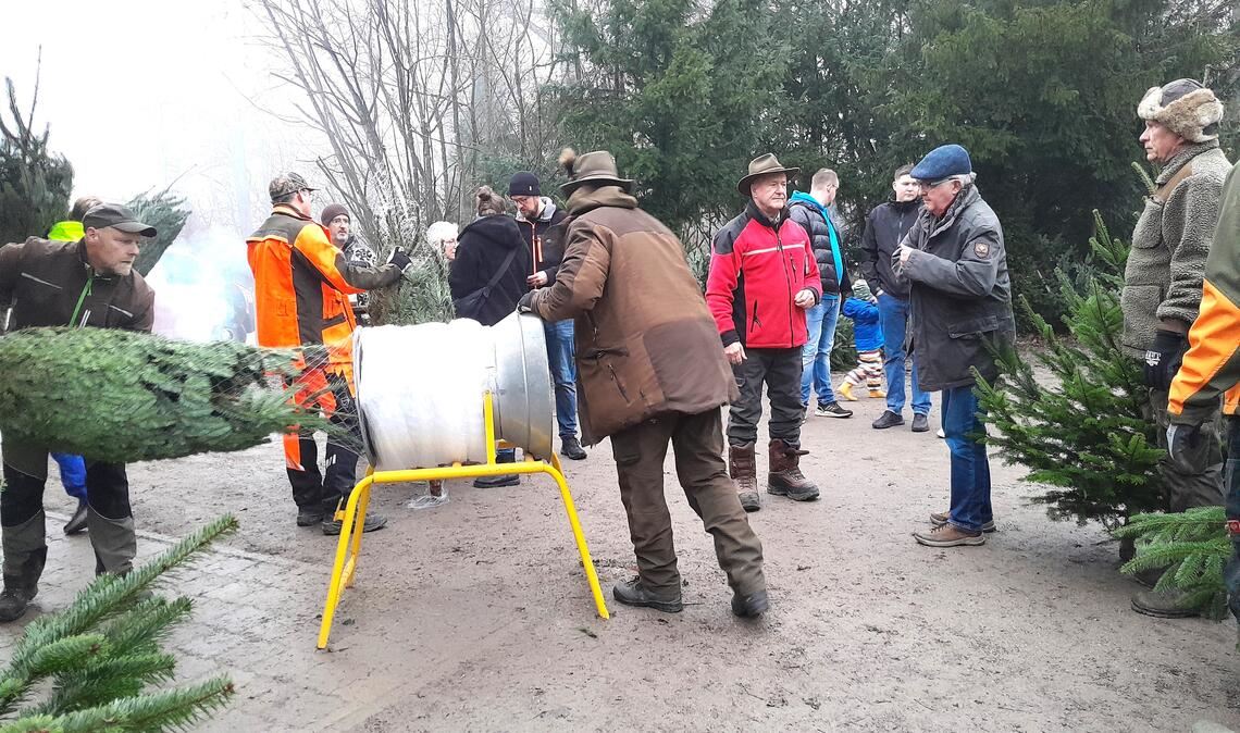 Den vollen Service bietet der Weihnachtsbaumverkauf bei der Forsthütte Hamberg. Fotos: Filitz