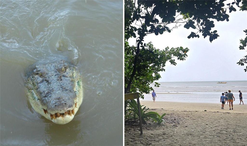 Der 14-Jährige wurde beim Angeln am Myall Beach von dem Krokodil angegriffen (links Symbolbild, rechts Archivbild).