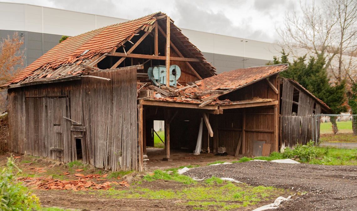 Der Abriss einer Scheune auf dem Grundstück, auf dem die Flüchtlingsunterkunft entstehen soll, ist wegen der dortigen Fledermaus-Kolonie vorerst gestoppt worden. Foto: Fotomoment
