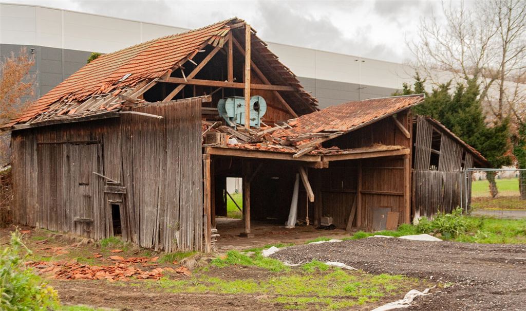 Der Abriss einer Scheune auf dem Grundstück, auf dem die Flüchtlingsunterkunft entstehen soll, ist wegen der dortigen Fledermaus-Kolonie vorerst gestoppt worden. Foto: Fotomoment