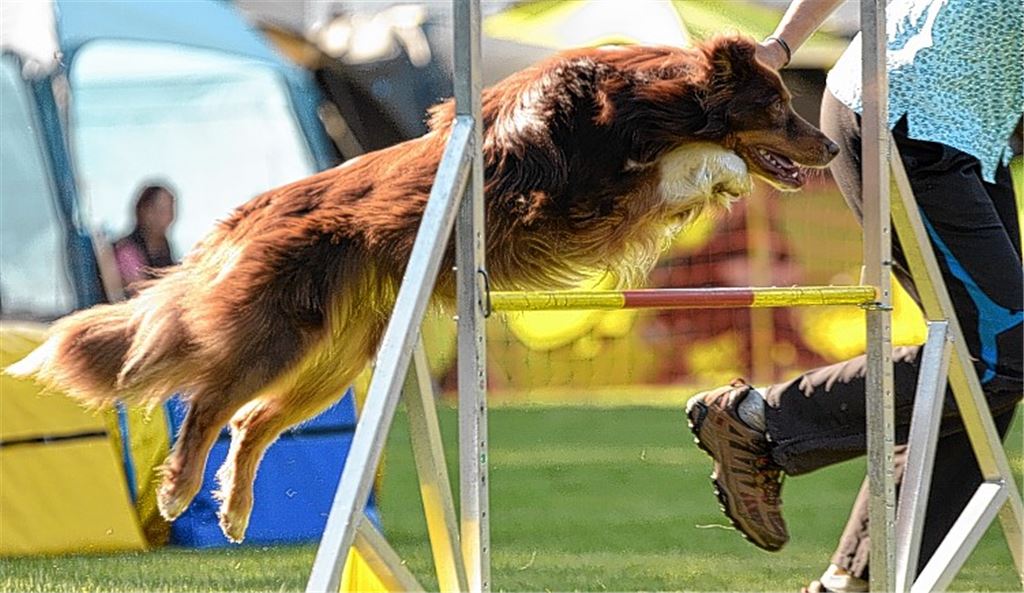 Der 22. Enztalcup zieht weite Kreise