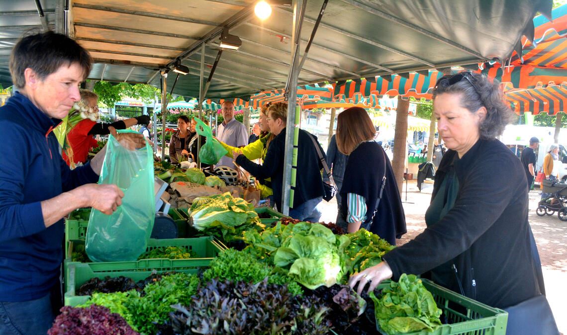 Der Bauernhof Stahl gehört zu den treuen Marktbeschickern und fühlt sich mit seinem Stand auf dem Maulbeerbaumplatz wohl. Fotos: Stahlfeld