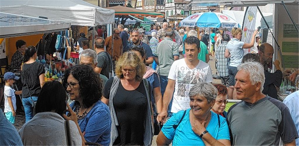 Bauernmarkt wirbt für regionale Erzeugnisse
