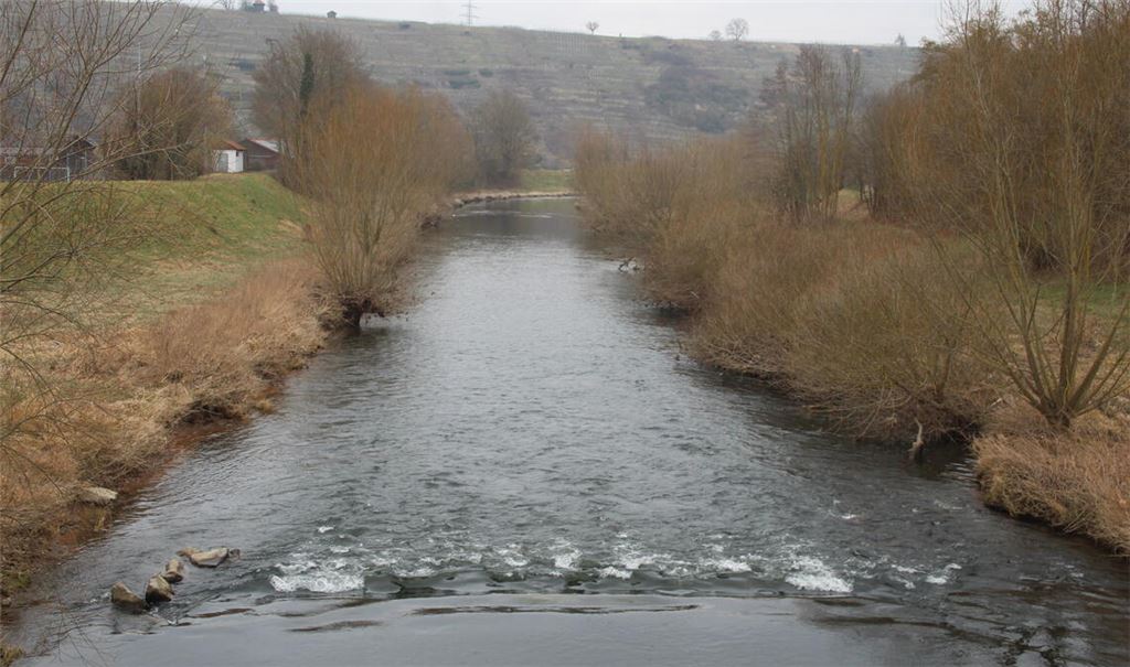 Der Blick flussabwärts von der Enzbrücke in Mühlhausen. Foto: Steigleder