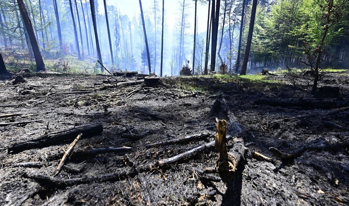 Der Brand im Nationalpark Böhmische Schweiz ist nicht unter Kontrolle.