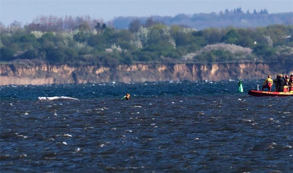 Der Buckelwal liegt wieder vor der Insel Poel.