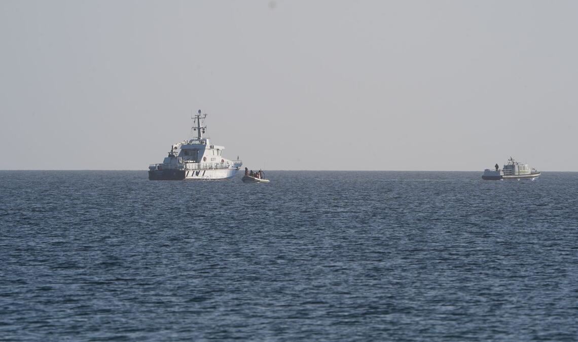 Der Buckelwal wird von mehreren Schiffen begleitet.