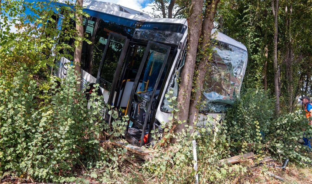 Der Bus kam nach dem Unfall erst im Gebüsch an einer steilen Böschung zum Stehen.