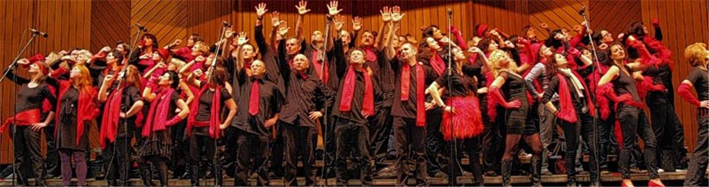 Der Chor Ton-Art hat sich mit spektakulären Aufführungen einen Namen gemacht. Nun planen die Sänger eine musikalische Weltreise.