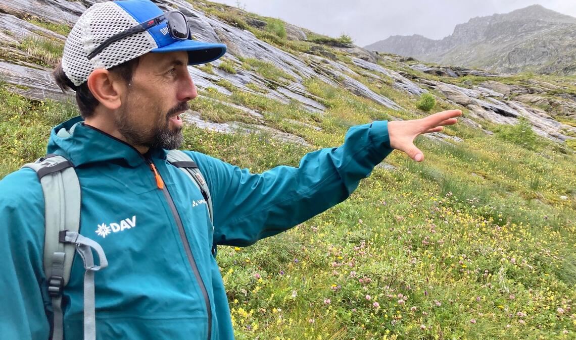 Der DAV-Geowissenschaftler Tobias Hipp zeigt auf die Vegetation - hier war früher Gletscher.
