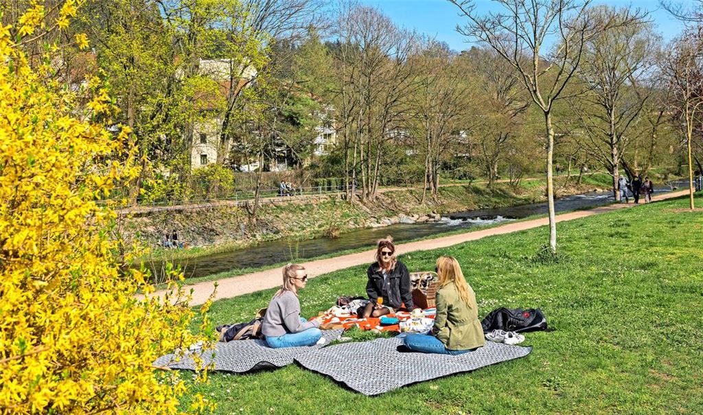 Der DWD sagt für Sonntag einen freundlichen Mix aus Sonne und Wolken voraus (Symbolbild).