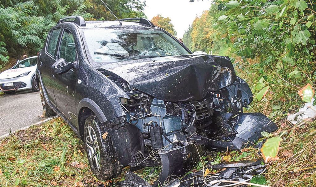 Der Dacia der 66-Jährigen prallt gegen einen Baum am Straßenrand und wird dabei stark beschädigt. Foto: Myroshnichenko