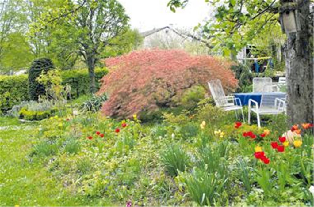 Der Dürrmenzer Garten der Familie Roller in voller Frühlingspracht. 
Foto: Stahlfeld 