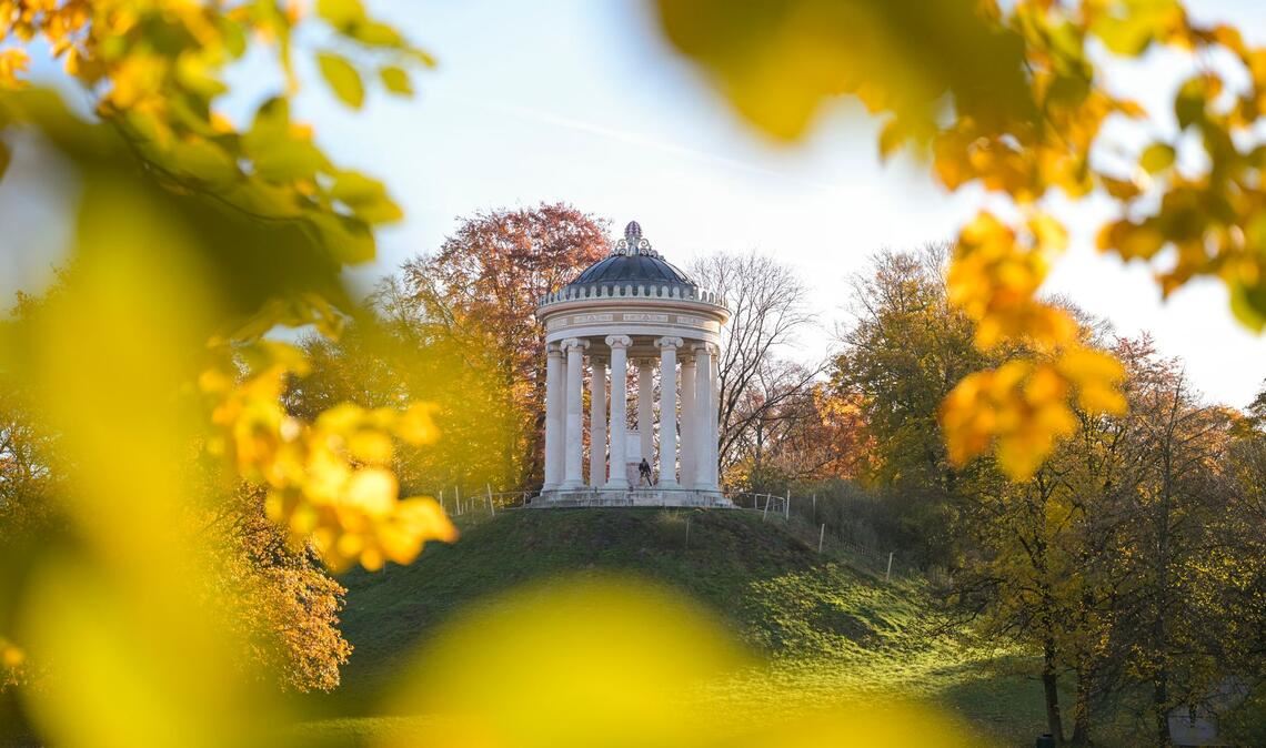Der Englische Garten im Morgenlicht.