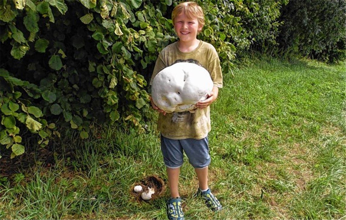 „Die Rücksichtslosigkeit nimmt zu“