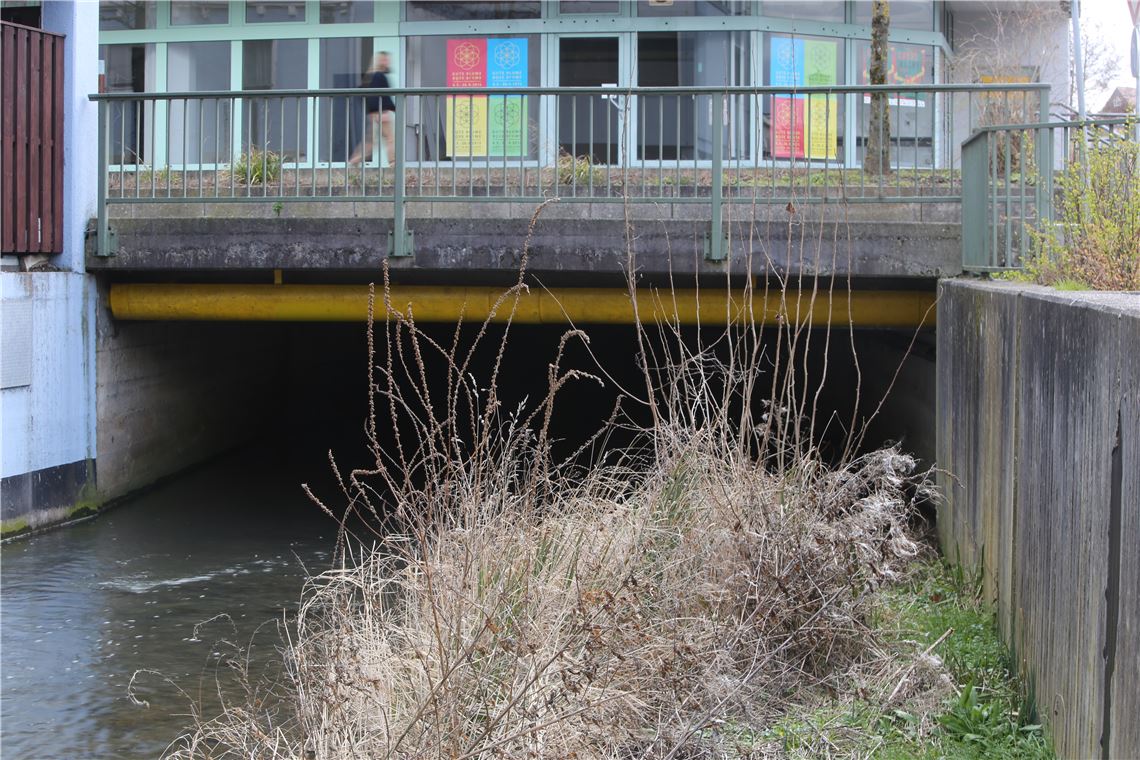 Erlenbach-Center: Ist der Name geeignet? lh Erlenbach Center Name (1)