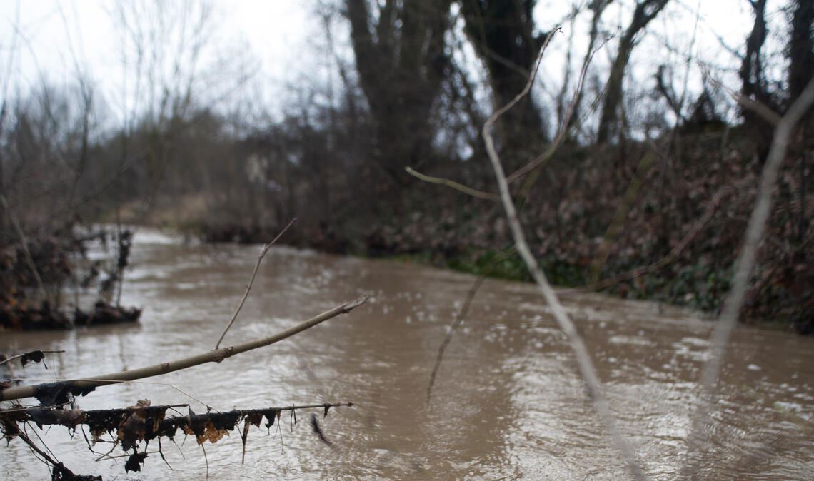 Der Erlenbach wird bei Starkregen zu einem Problem. Foto: Archiv